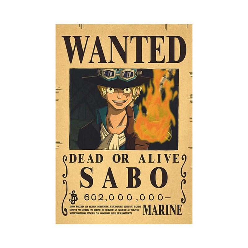One Piece - Bounty Wanted Poster 42cm