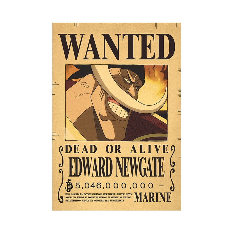 One Piece - Bounty Wanted Poster 42cm