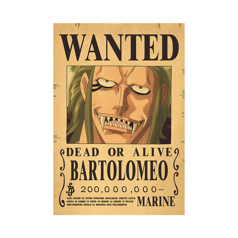 One Piece - Bounty Wanted Poster 42cm