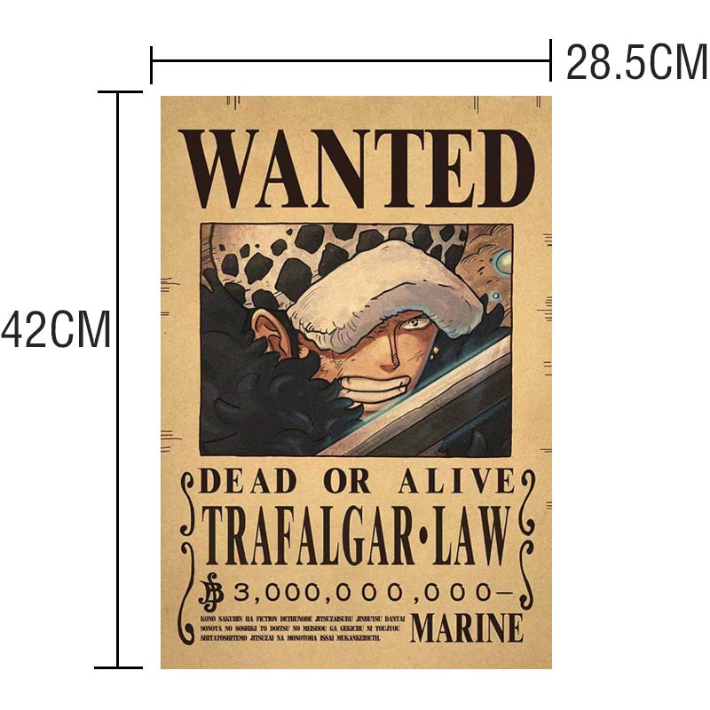 One Piece - Bounty Wanted Poster 42cm