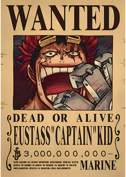 One Piece - Bounty Wanted Poster 42cm